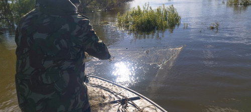 ДЕНЬ БЕЗ СЕТЕЙ В ОМСКОЙ ОБЛАСТИ