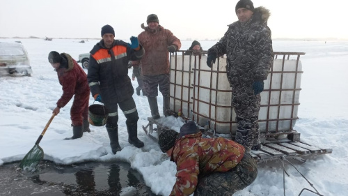 На территории Алтайского края проводятся мероприятия по спасению рыбы