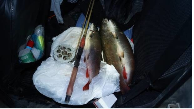 В Алтайском крае выявлен факт незаконной добычи тайменя