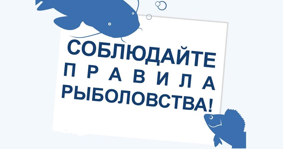 Ограничения для любительского рыболовства в Западно-Сибирском рыбохозяйственном бассейне: осенне-зимний период