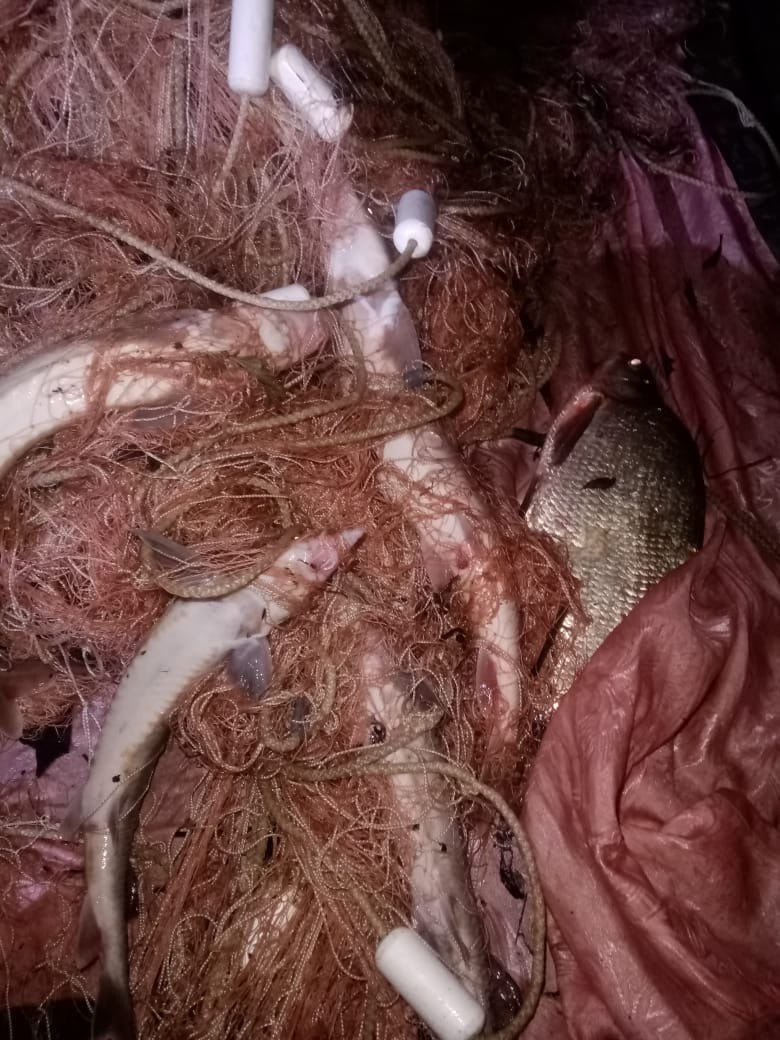 В Нижнеомском районе Омской области вынесен приговор нарушителю Правил рыболовства