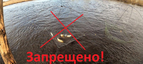 Подъемником рыбу ловить запрещено