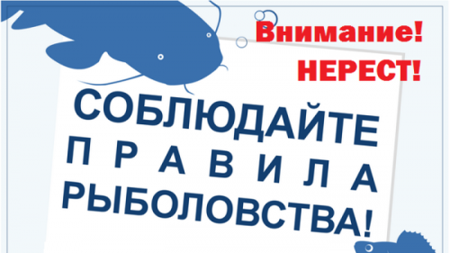 Рыболовам-любителям информация об ограничениях, связанных с весенним нерестом