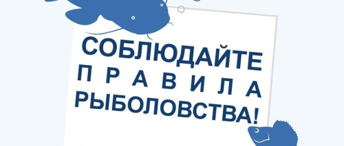 Ограничения для любительского рыболовства в Западно-Сибирском рыбохозяйственном бассейне: осенне-зимний период