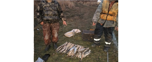 Приговор суров