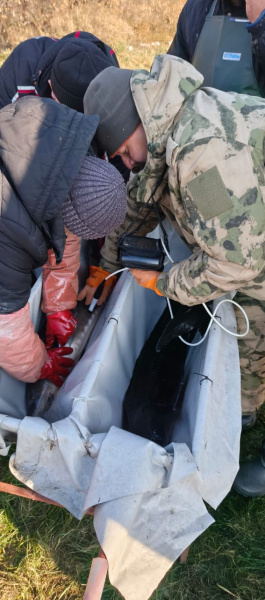 В Новосибирском рыбзаводе проведена осенняя бонитировка и пересадка в зимовальный водоём поголовья сибирского осётра 