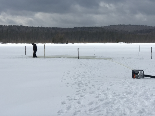 Противозаморные мероприятия на озере Большой Берчикуль