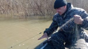 Пресечен незаконный вылов рыбы на территории Томской области