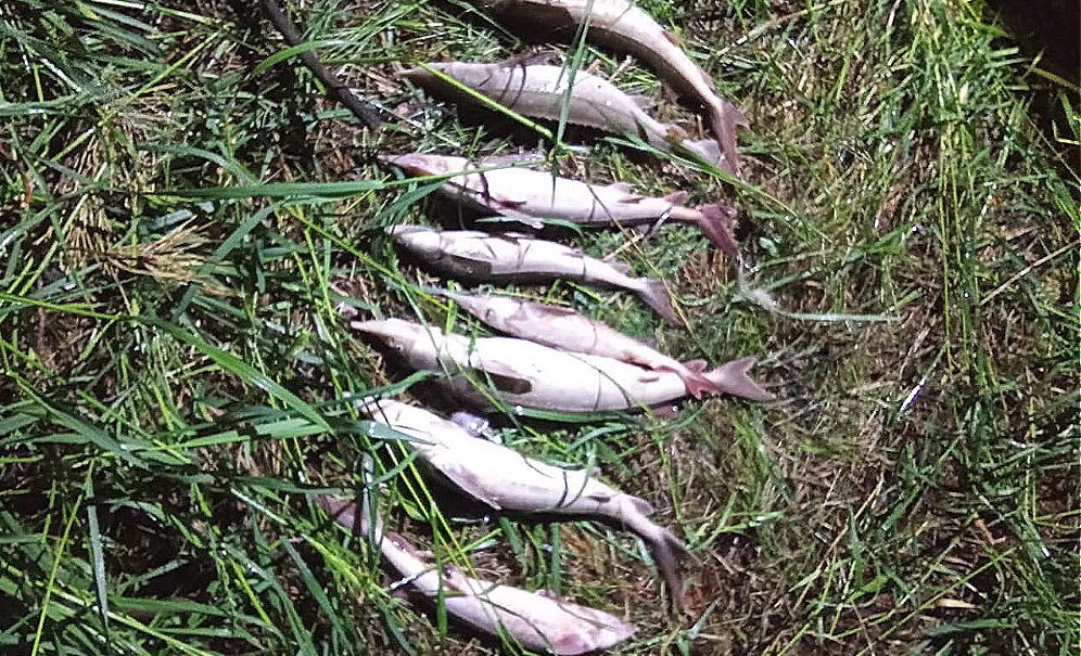 На реке Обь задержаны нарушители с незаконным уловом 