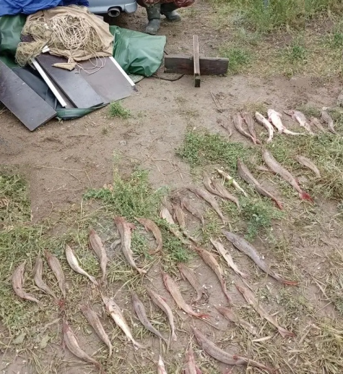 Браконьеры на р. Иртыш