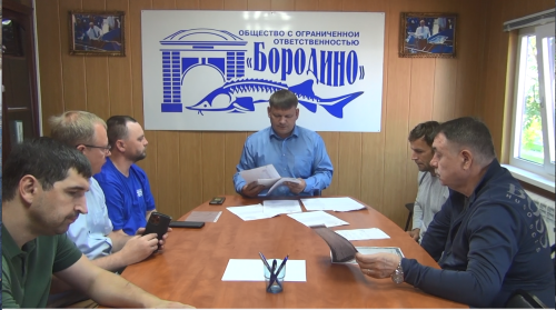 В Омской области завершились мероприятия по искусственному воспроизводству осетровых видов рыб