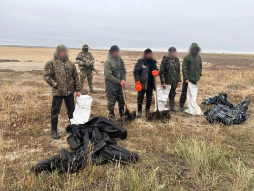 Незаконная добыча артемии в особо крупном размере