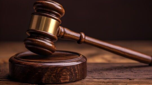 Приговор мирового судьи в отношении браконьера, производившего незаконный лов рыбы во время нереста на Новосибирском водохранилище, вступил в законную силу 