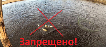 Подъемником рыбу ловить запрещено