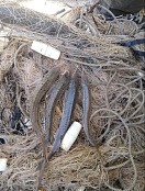 Наказание в виде двух лет лишения свободы условно с испытательным сроком 1 год назначено жителям Горьковского района Омской области за совершения преступления, предусмотренного ч. 3 ст. 256 УК РФ.