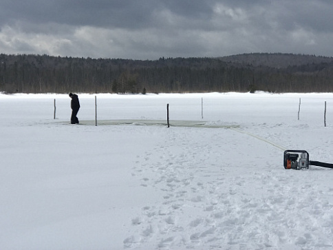 Противозаморные мероприятия на озере Большой Берчикуль
