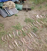 Браконьеры на р. Иртыш