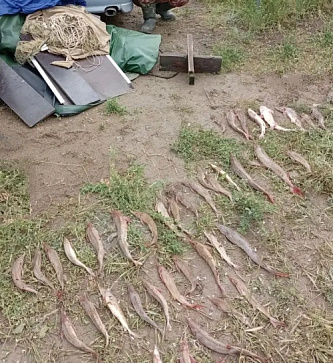 Пять лет и шесть месяцев лишения свободы условно с испытательным сроком на 3 года...