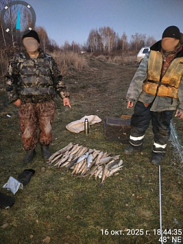 Браконьеры задержаны на реке Обь в Томской области