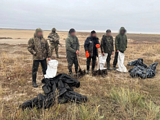 Незаконная добыча артемии в особо крупном размере