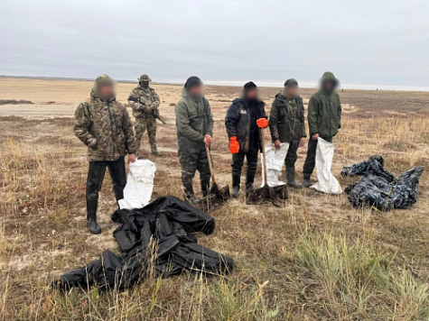 Незаконная добыча артемии в особо крупном размере