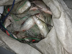 Акт о выявлении факта нарушения Правил рыболовства на Новосибирском водохранилище